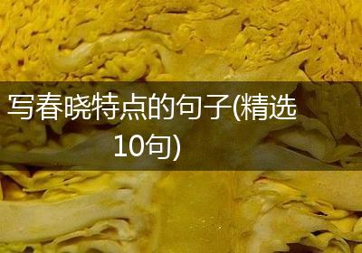 写春晓特点的句子(精选10句)