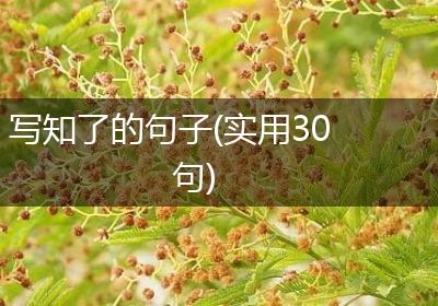 写知了的句子(实用30句)
