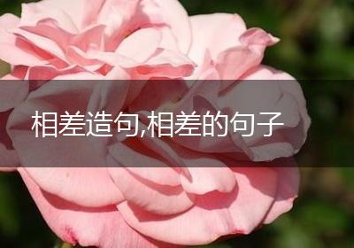相差造句,相差的句子