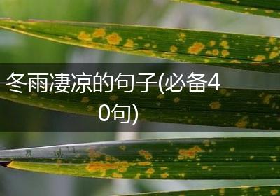 冬雨凄凉的句子(必备40句)