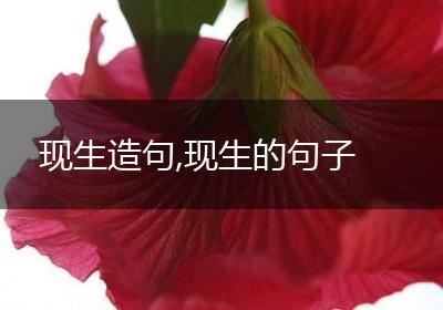 现生造句,现生的句子