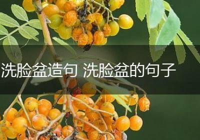 洗脸盆造句 洗脸盆的句子
