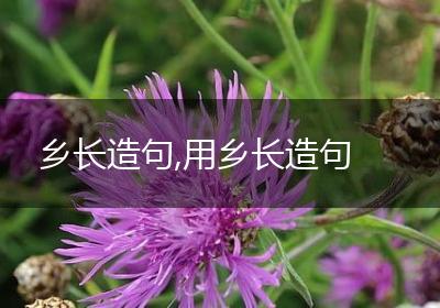 乡长造句,用乡长造句