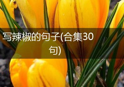 写辣椒的句子(合集30句)