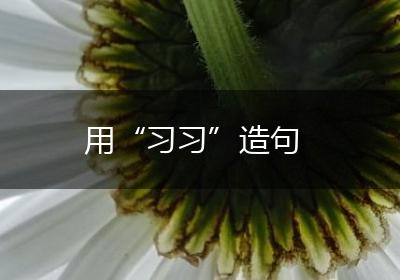 用“习习”造句
