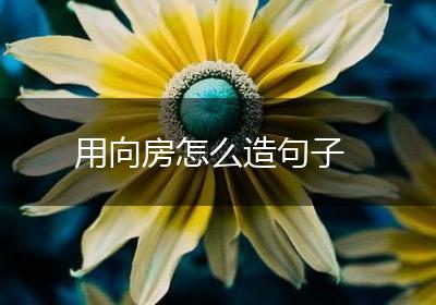 用向房怎么造句子
