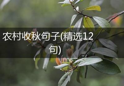 农村收秋句子(精选12句)
