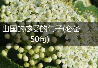 出国的感受的句子(必备50句)