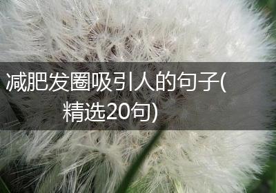 减肥发圈吸引人的句子(精选20句)