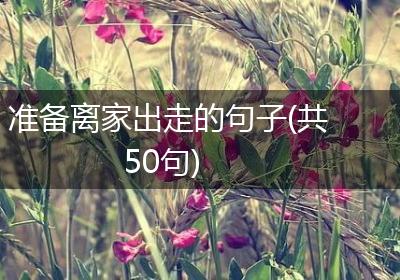 准备离家出走的句子(共50句)