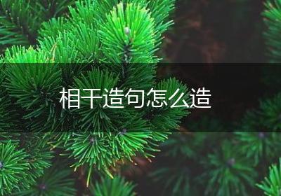相干造句怎么造