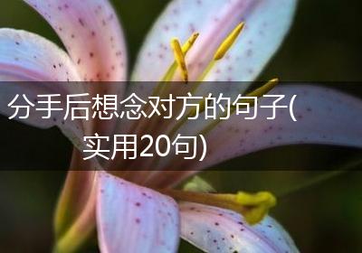 分手后想念对方的句子(实用20句)