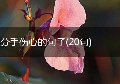 分手伤心的句子(20句)