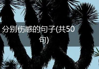 分别伤感的句子(共50句)