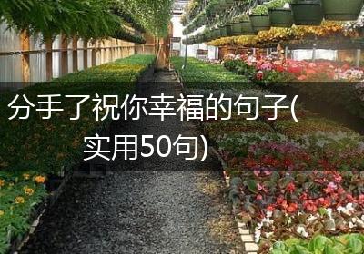 分手了祝你幸福的句子(实用50句)