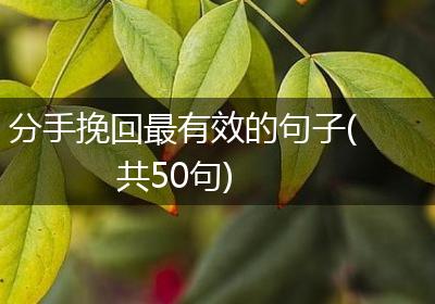 分手挽回最有效的句子(共50句)