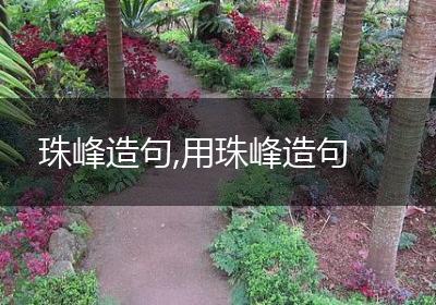 珠峰造句,用珠峰造句