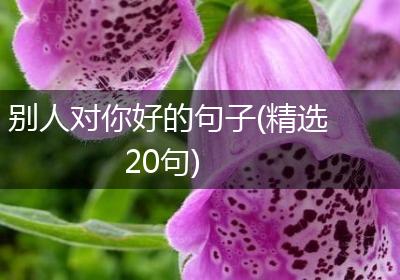 别人对你好的句子(精选20句)