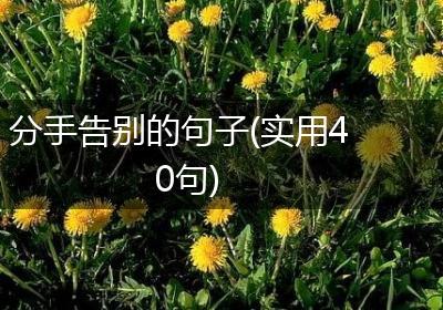 分手告别的句子(实用40句)