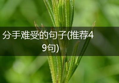 分手难受的句子(推荐49句)