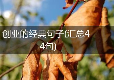 创业的经典句子(汇总44句)