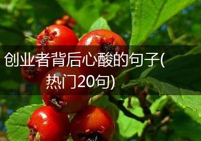 创业者背后心酸的句子(热门20句)
