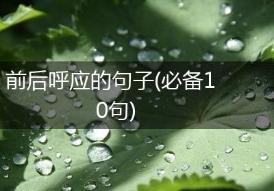 前后呼应的句子(必备10句)