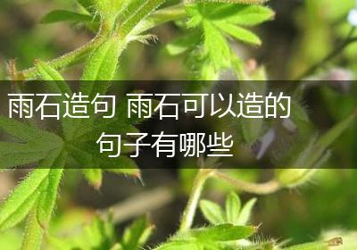 雨石造句 雨石可以造的句子有哪些