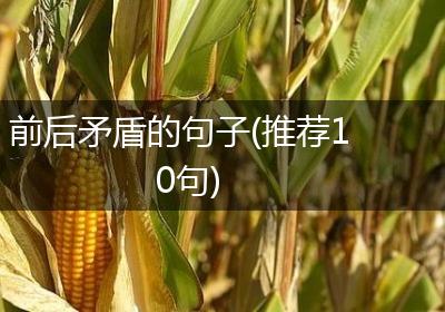 前后矛盾的句子(推荐10句)