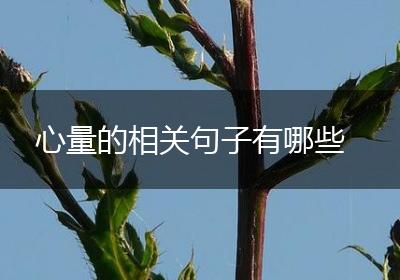 心量的相关句子有哪些