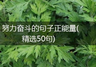 努力奋斗的句子正能量(精选50句)