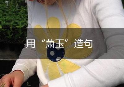 用“萧玉”造句