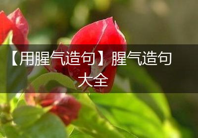 【用腥气造句】腥气造句大全