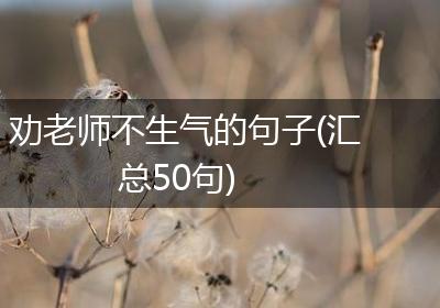 劝老师不生气的句子(汇总50句)