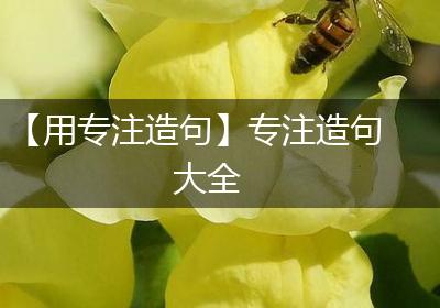【用专注造句】专注造句大全