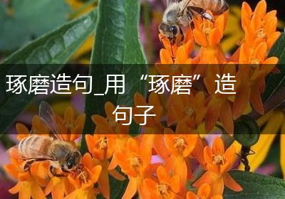琢磨造句_用“琢磨”造句子