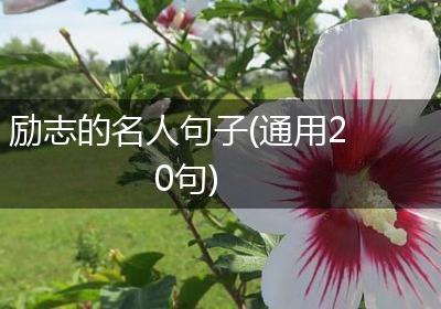 励志的名人句子(通用20句)