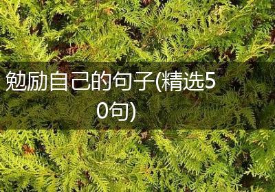 勉励自己的句子(精选50句)
