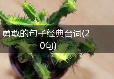 勇敢的句子经典台词(20句)