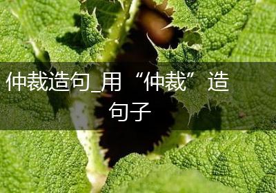 仲裁造句_用“仲裁”造句子