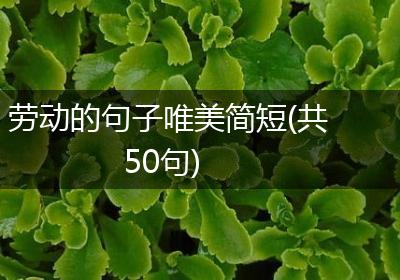 劳动的句子唯美简短(共50句)