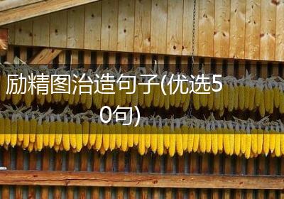 励精图治造句子(优选50句)