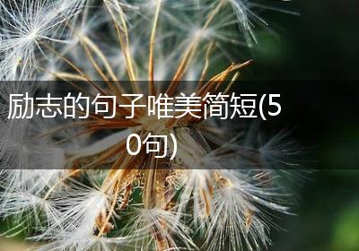 励志的句子唯美简短(50句)