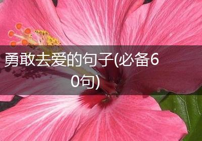 勇敢去爱的句子(必备60句)