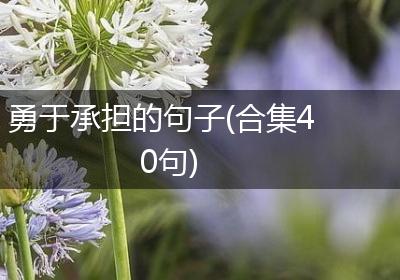 勇于承担的句子(合集40句)