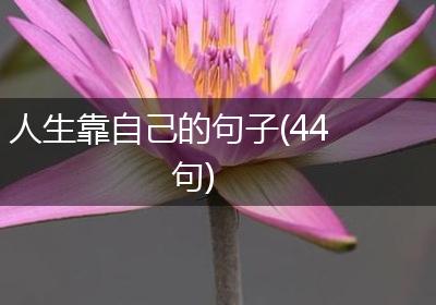 人生靠自己的句子(44句)