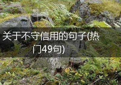 关于不守信用的句子(热门49句)