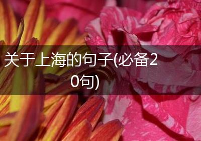 关于上海的句子(必备20句)