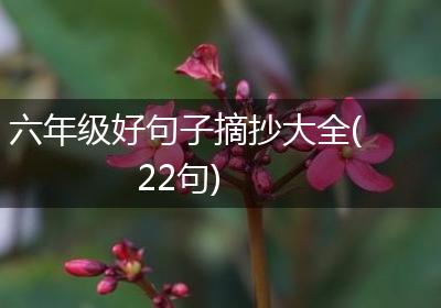 六年级好句子摘抄大全(22句)
