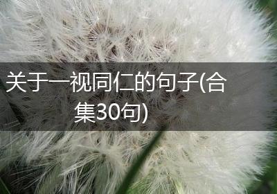 关于一视同仁的句子(合集30句)